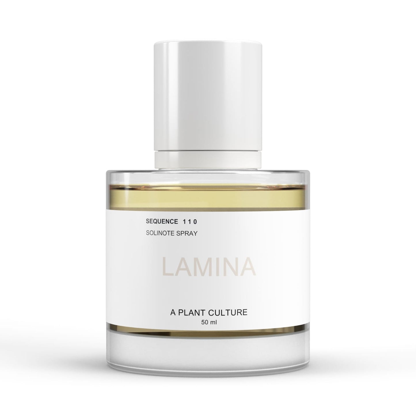 LAMINA